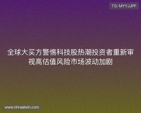 全球大买方警惕科技股热潮投资者重新审视高估值风险市场波动加剧